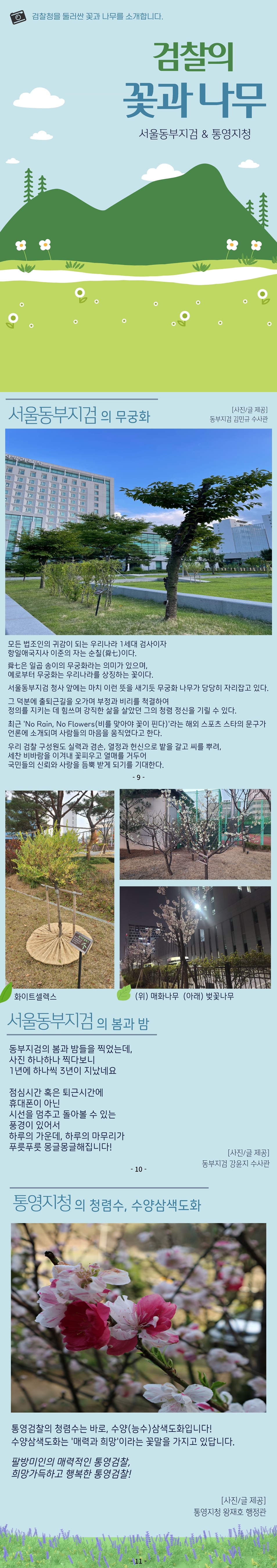 검찰의 꽃과 나무 8월호, 서울동부지검과 통영지청